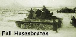 Fall Hasenbraten