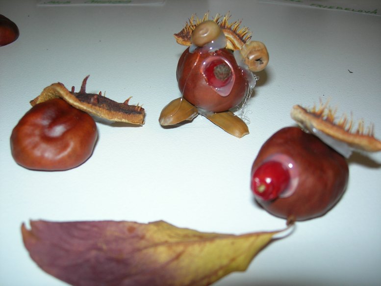 DSCN7763.JPG