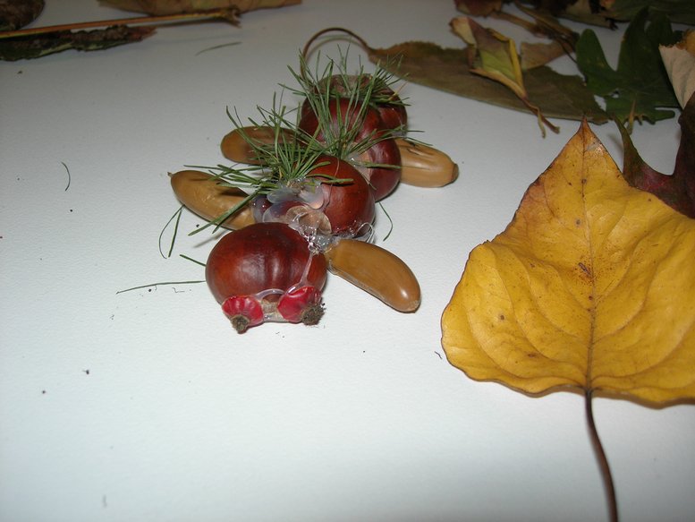 DSCN7765.JPG