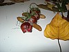 DSCN7765.JPG