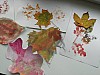 DSCN7768.JPG