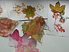 DSCN7769.JPG