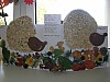 DSCN7784.JPG