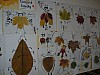 DSCN7864.JPG