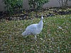 IMG_0035.JPG