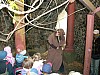 IMG_0070.JPG