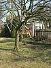 DSCN8411.JPG