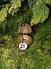 krmitka027.jpg