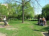 DSCN8475.JPG