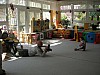 DSCN8487.JPG