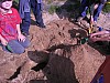 DSCN8599.JPG