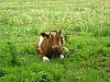 DSCN8667.JPG