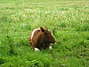 DSCN8668.JPG