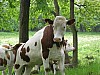 DSCN8671.JPG