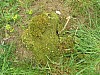 DSCN8689.JPG
